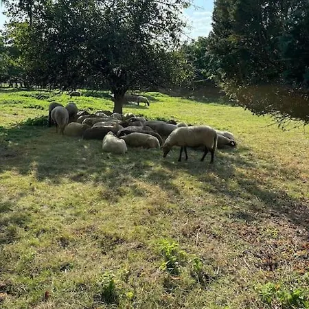 Appartamento Depaysement Pres De Verneuil